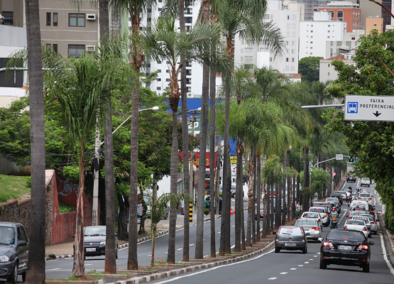 Emdec interdita amanhã a avenida Brasil para recapeamento