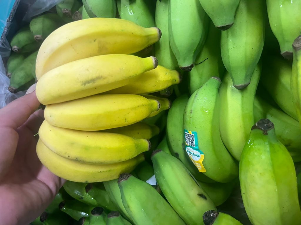 Pouco conhecida, banana-princesa é vendida no Ceasa Campinas