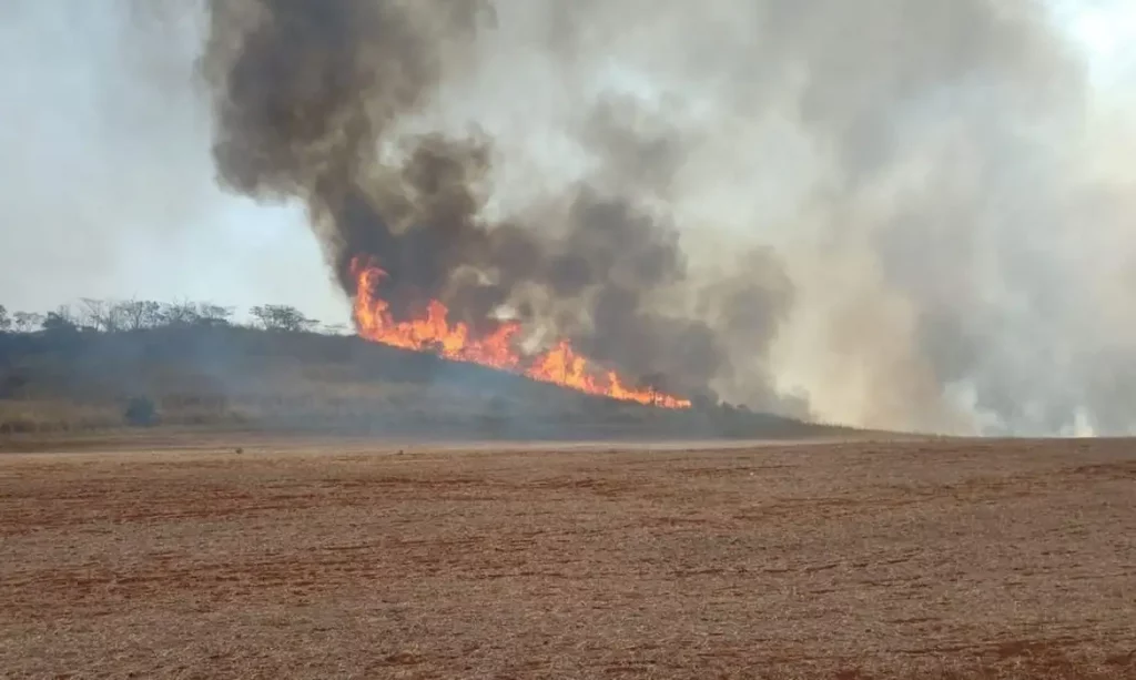 Brigadista morre durante combate a incêndio em São Paulo